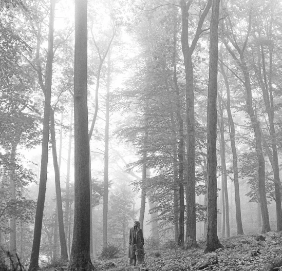 Foto Album FOLKLORE
